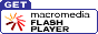 Flash Player
